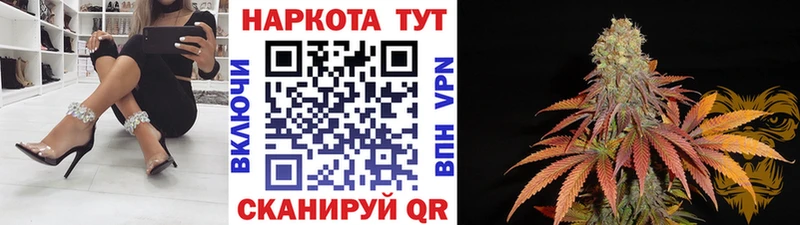Что такое Темников КОКАИН  ГАШ  MDMA  OMG зеркало  A PVP  Амфетамин  Конопля 