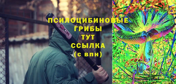 соль ск Липки