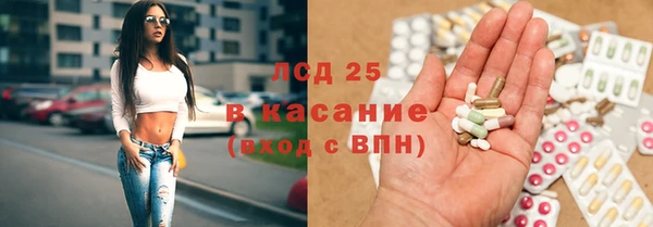хмурый Лиски