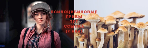 хмурый Лиски