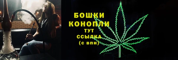 соль ск Липки