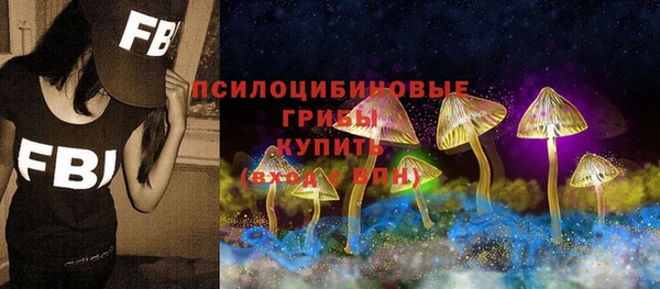 ALPHA-PVP Медвежьегорск