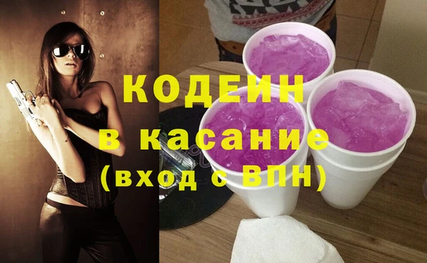 хмурый Лиски