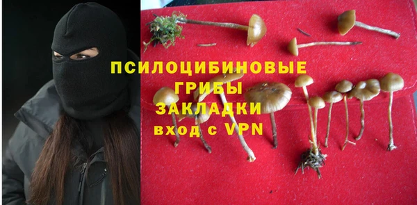хмурый Лиски