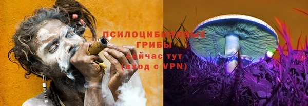 ALPHA-PVP Медвежьегорск