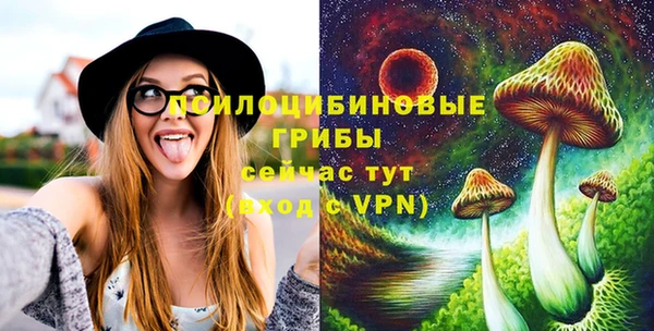 хмурый Лиски